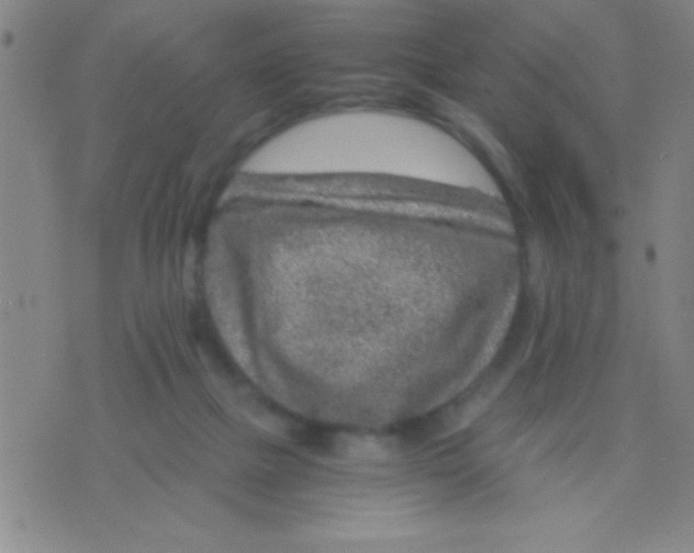 X0000075840073200610061857