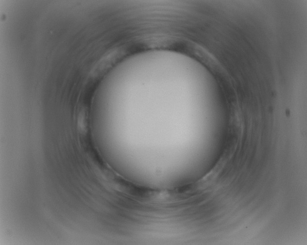 X0000075840074200610061857