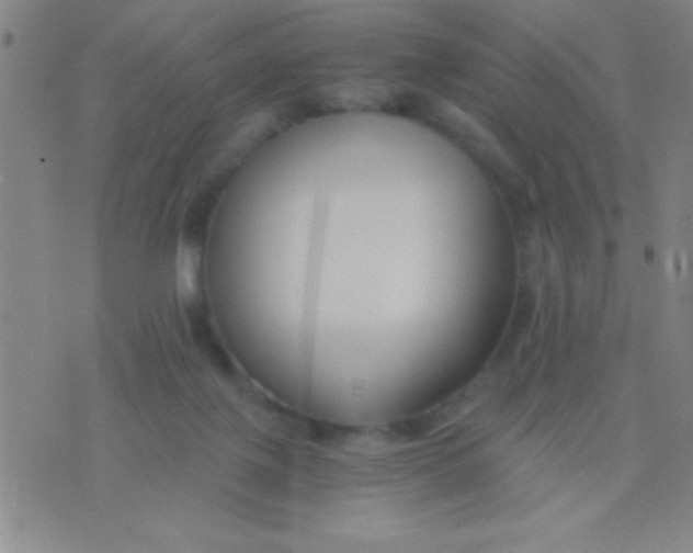 X0000075840075200610061857