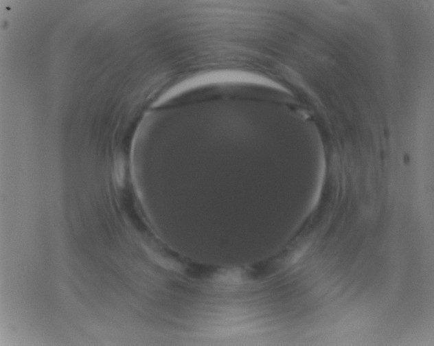 X0000075840076200610061857