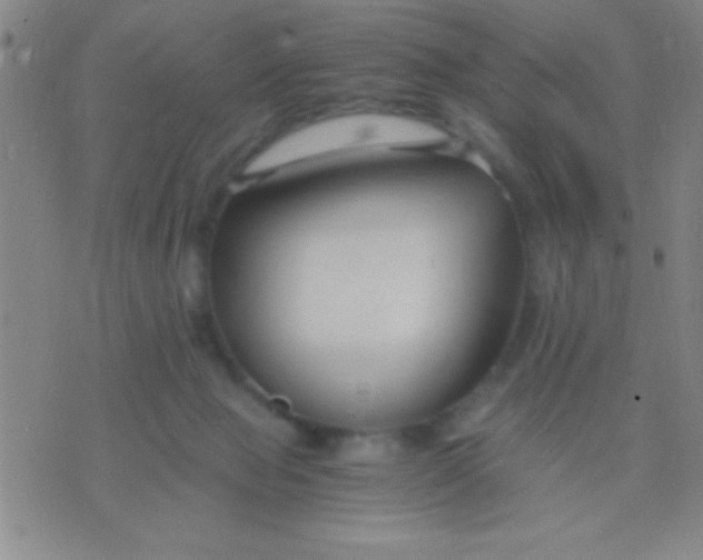 X0000075840077200610061857