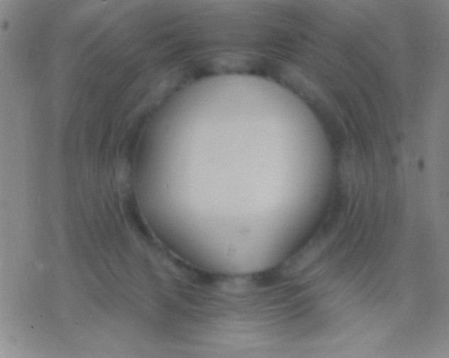 X0000075840079200610061857