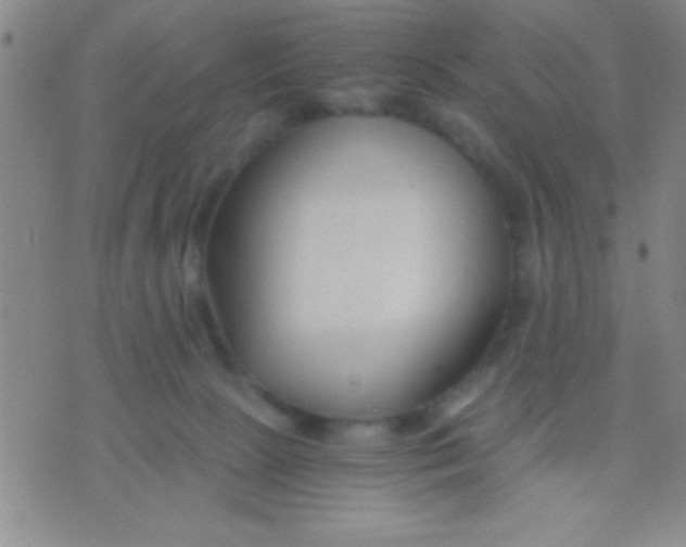 X0000075840081200610061858