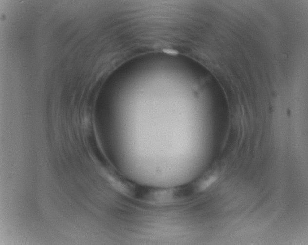 X0000075840084200610061858