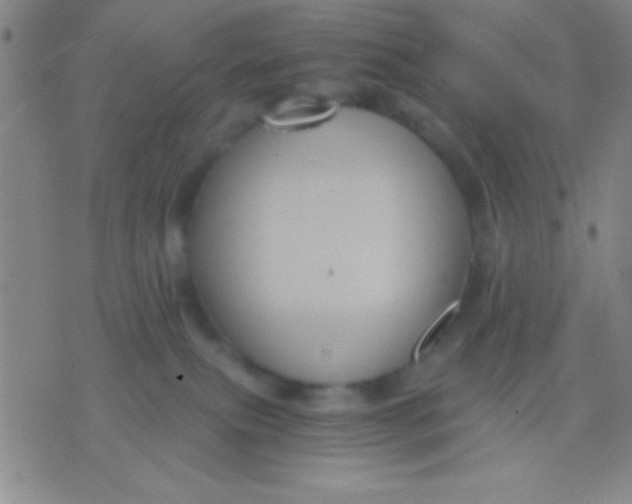 X0000075840087200610061858