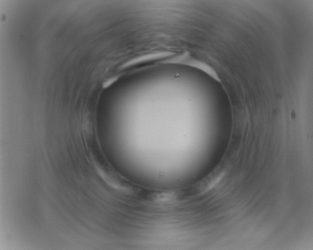 X0000075840088200610061858