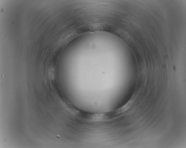 X0000075840090200610061858