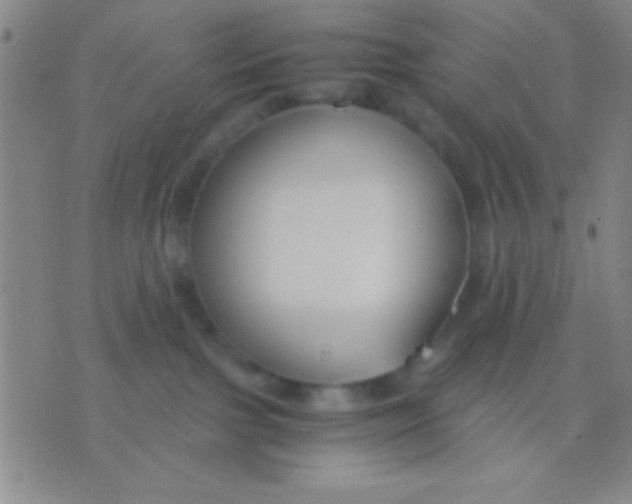 X0000075840091200610061858