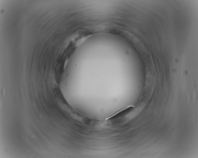 X0000075840096200610061858