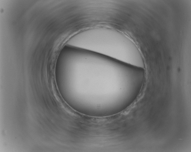 X0000075840097200610061857