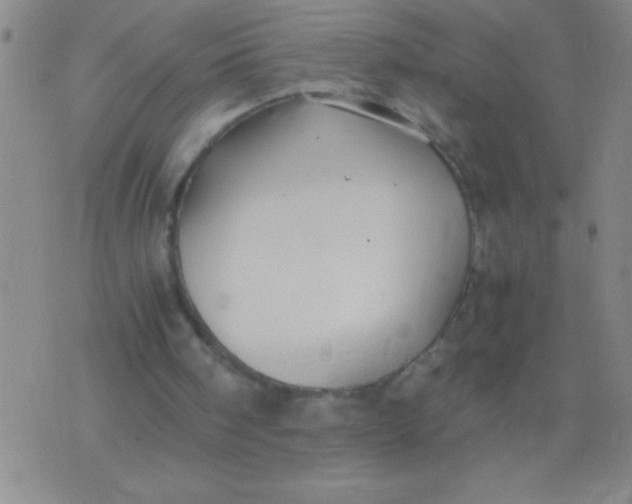 X0000075840098200610061857