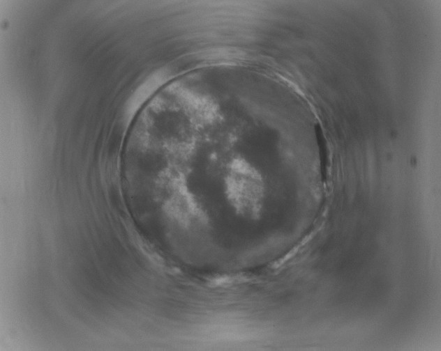 X0000075840099200610061857