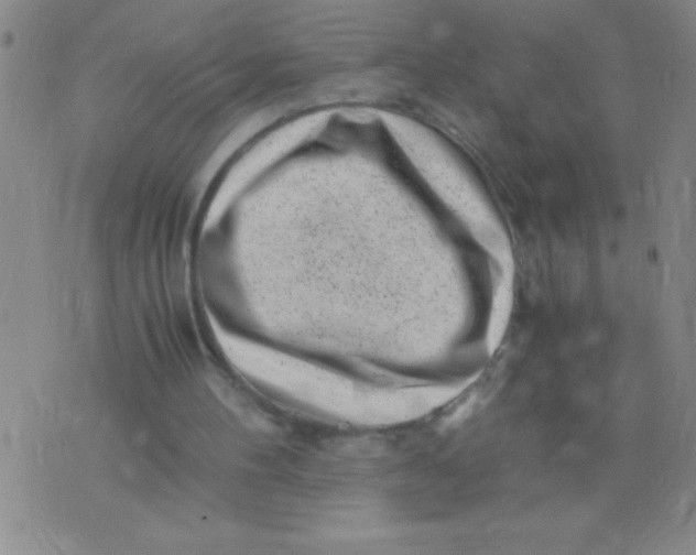 X0000075840100200610061857