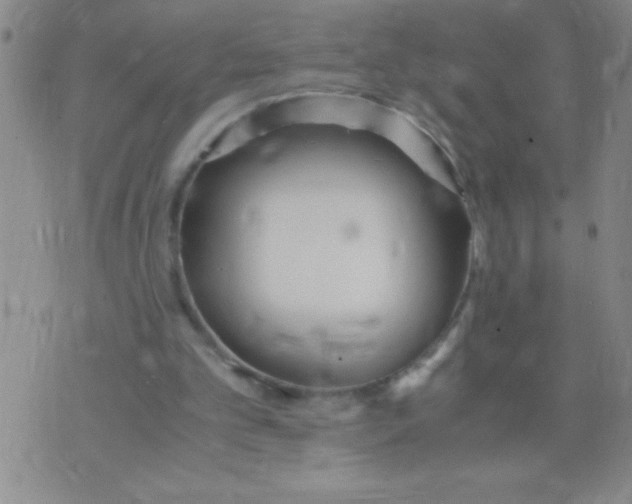 X0000075840101200610061857