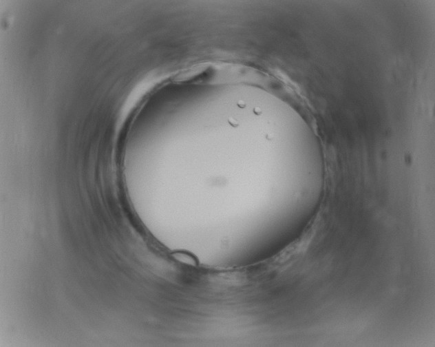 X0000075840102200610061857