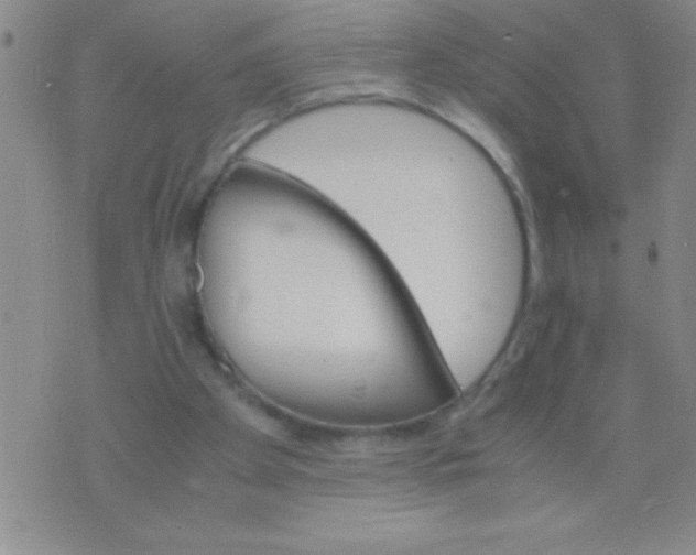 X0000075840105200610061857