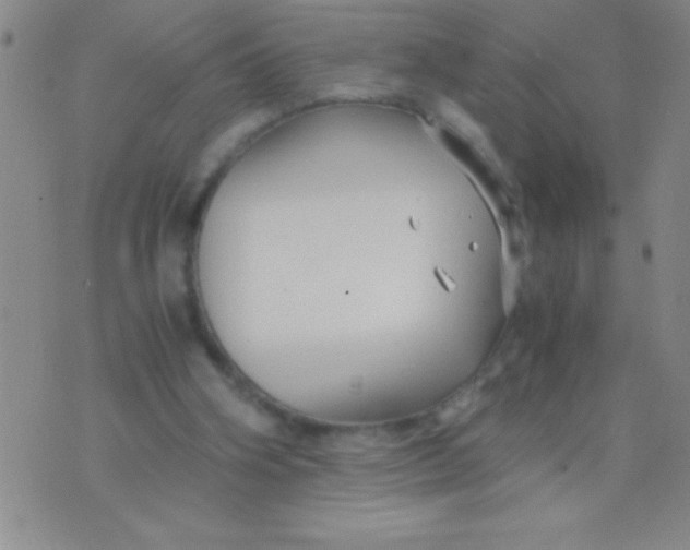 X0000075840106200610061857