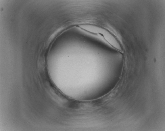 X0000075840107200610061857