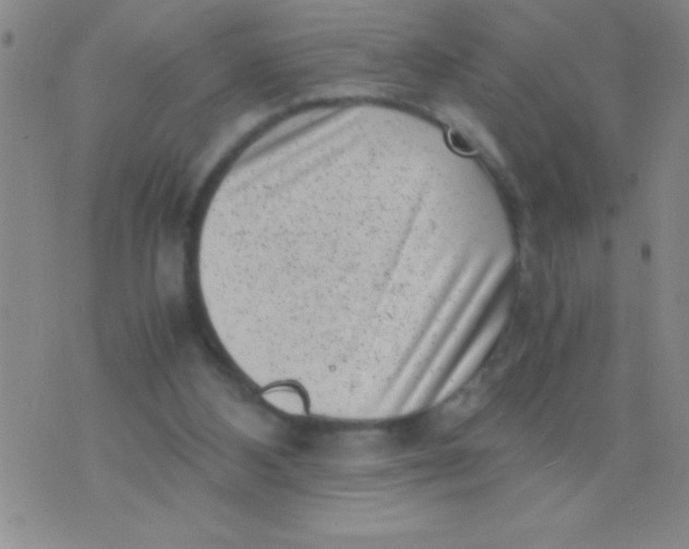 X0000075840108200610061857