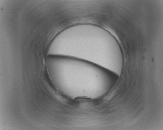 X0000075840109200610061857