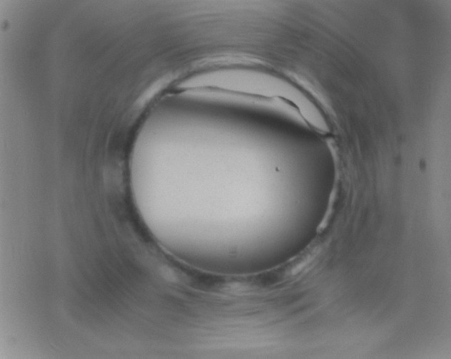 X0000075840111200610061857