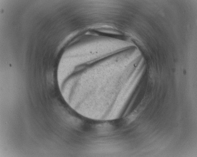 X0000075840112200610061857