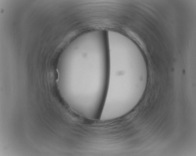 X0000075840113200610061857