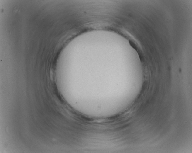 X0000075840117200610061857