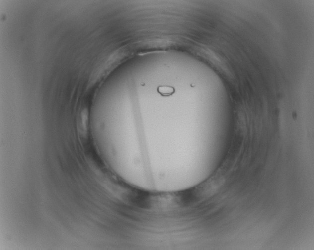 X0000075840118200610061857