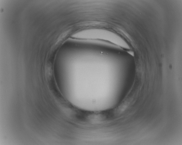 X0000075840119200610061857