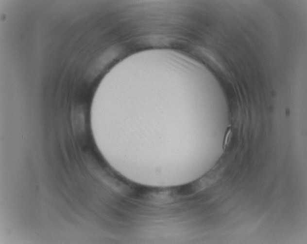 X0000075840120200610061857