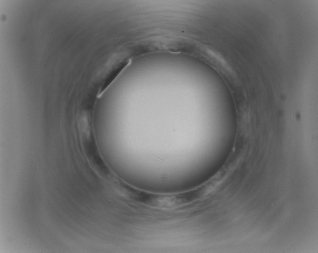 X0000075840121200610061857