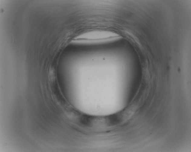 X0000075840123200610061857