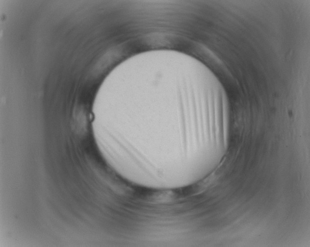 X0000075840124200610061857