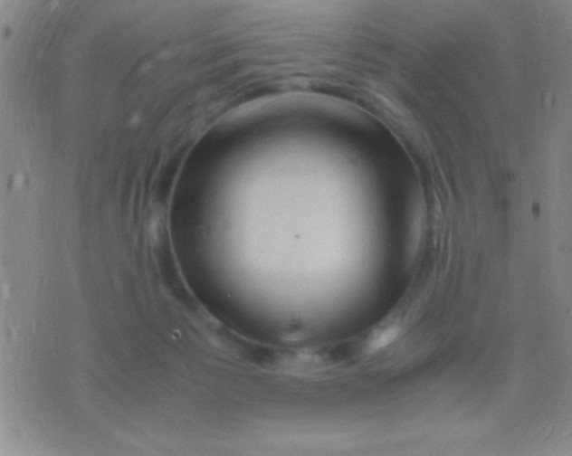 X0000075840125200610061857