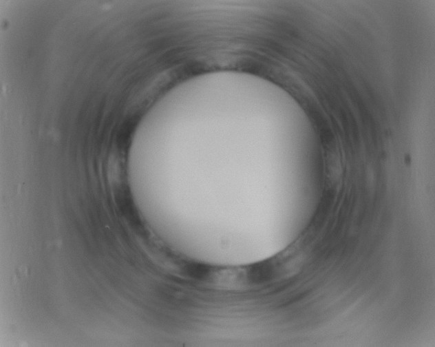 X0000075840126200610061857