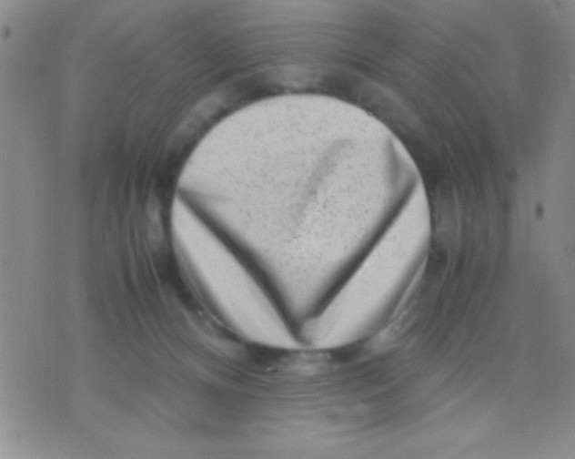 X0000075840128200610061856