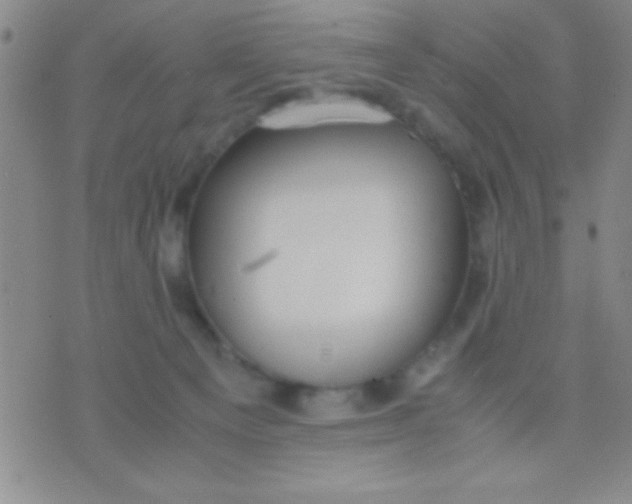 X0000075840129200610061856