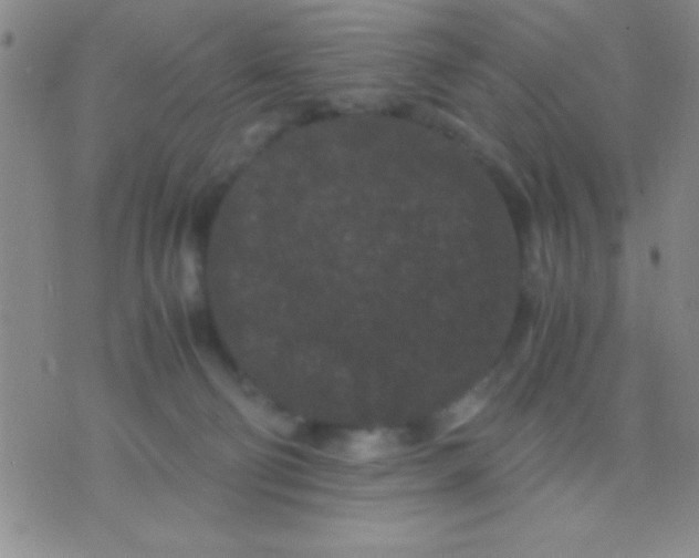 X0000075840130200610061856