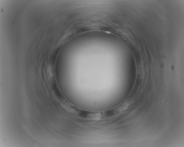 X0000075840131200610061856