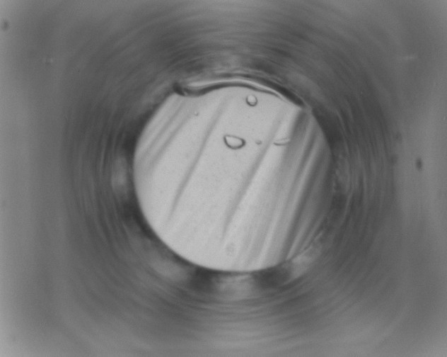 X0000075840132200610061856