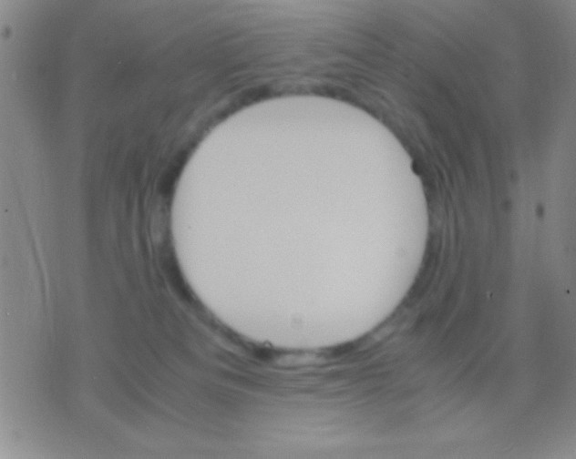 X0000075840133200610061856