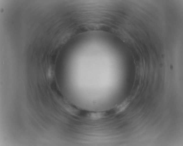 X0000075840134200610061856