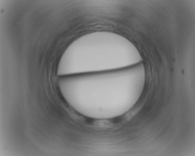 X0000075840137200610061856