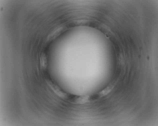 X0000075840138200610061856