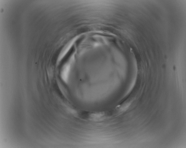 X0000075840139200610061856