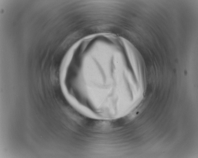 X0000075840140200610061856