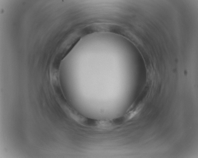 X0000075840141200610061856