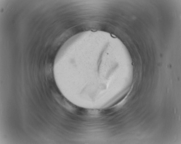 X0000075840144200610061856