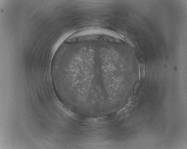 X0000075840147200610061855